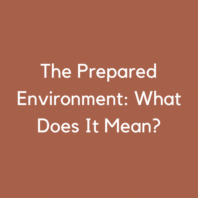 The Prepared Environment: What Does It Mean?